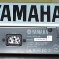 Yamaha Лейба.JPG|Соляр Мар'ян 